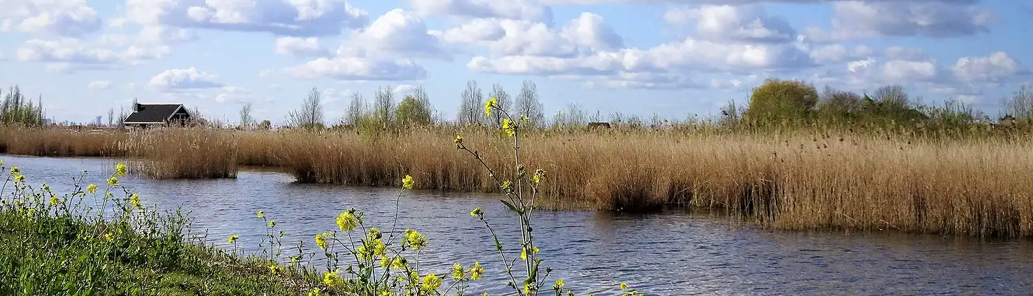 Bieslandse Polder