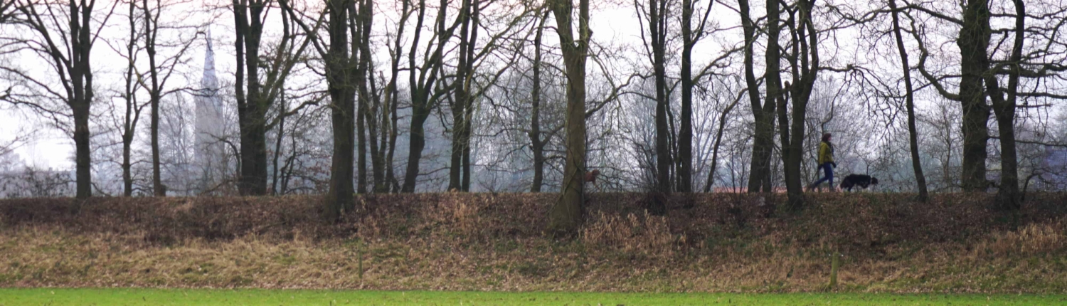 Ringdijk Den Dungen extra 2